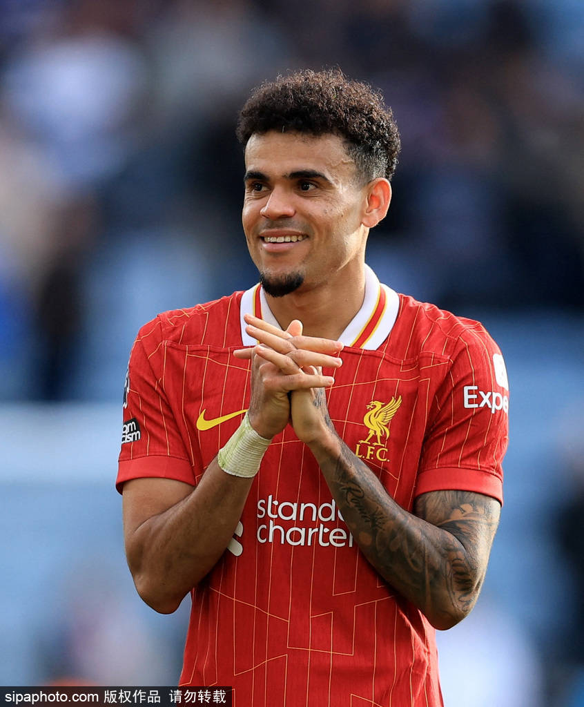 致是導致他 致是導致他